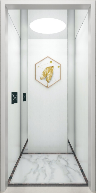 Home Lift RHX08